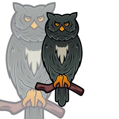 Naklejka premium Vector illustration of an impressive looking owl with beautiful eyes