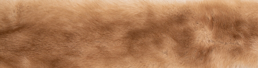 Fur texture close up background Fur Textured Background High quality photo