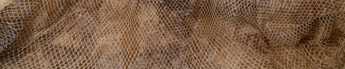 Close up of snake skin texture use for background. High quality photo