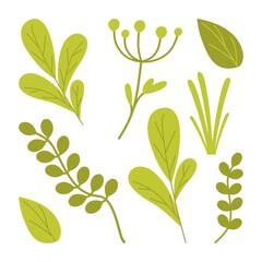 A set of green leaves, branches, and blades of grass.  Vector illustration in a flat style isolated on a white background