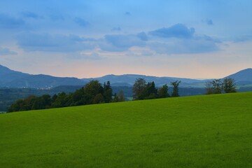 landscape in the summer