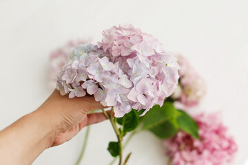 Beautiful hydrangea bouquet in hand on white background. Pink and blue hydrangea petals. Wedding bouquet. Florist arranging flowers. Happy Mothers day and Womens day.