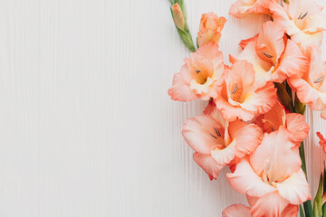 Floral greeting card template. Beautiful gladiolus flowers on rustic white wood, flat lay with...