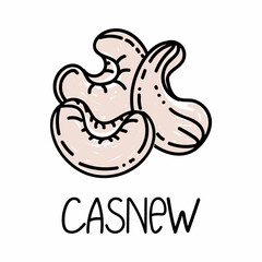 Cashew, hand-drawn doodle style element. Logo and emblem packaging design template - spices and herbs - cashew nut. Logo in a trendy linear style.