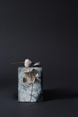 concept art still life with the sanding sponge with the eucalyptus branch