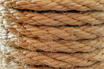 detail of a coiled natural esparto rope from a cat claw sharpener