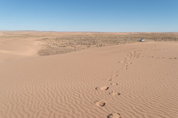 sand dunes in the desert