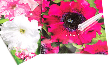 Flower very small petunia seeds in a shell for sowing in the ground and further germination for...