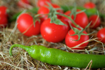 Vegetables tomatoes and hot green peppers for making spicy seasoning or ketchup. A set of recipe ingredients. Homemade organic food.