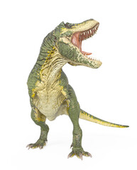 tyrannosaurus rex in action with a mouth wide open in white background