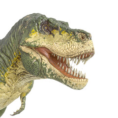 Fototapeta premium id portrait of a tyrannosaurus rex in white background
