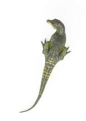 Fototapeta premium tyrannosaurus rex in white background top view