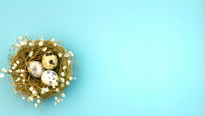 Easter background with copy space. Bird's nest with eggs on a blue bright background and copy space. The concept of a holiday and a joyful day.