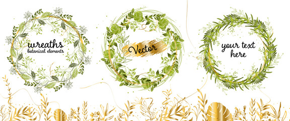 Set of circular floral frames with different grasses, ferns and leaves. Flower wreaths. Element design. Vector illustration. Floral green wreaths. Colorful. Many decorative elements.