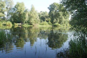 Landscape on the lake. 
