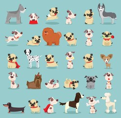 Cute dogs collection. Vector illustration of cartoon different breeds dogs, alaskan malamute, corgi, samoyed, border collie, doberman pinscher and pug in flat style.