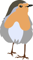 Oiseau Robin bird - Rouge Gorge pour illustration, dessin à la main en vecteur sur fond transparent. 