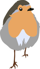 Oiseau Robin bird - Rouge Gorge pour illustration, dessin à la main en vecteur sur fond transparent. 