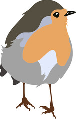 Oiseau Robin bird - Rouge Gorge pour illustration, dessin à la main en vecteur sur fond transparent. 