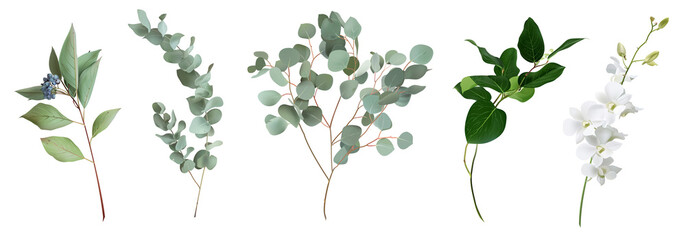 Mix of herbs and plants vector big collection. Cute rustic wedding greenery © lavendertime