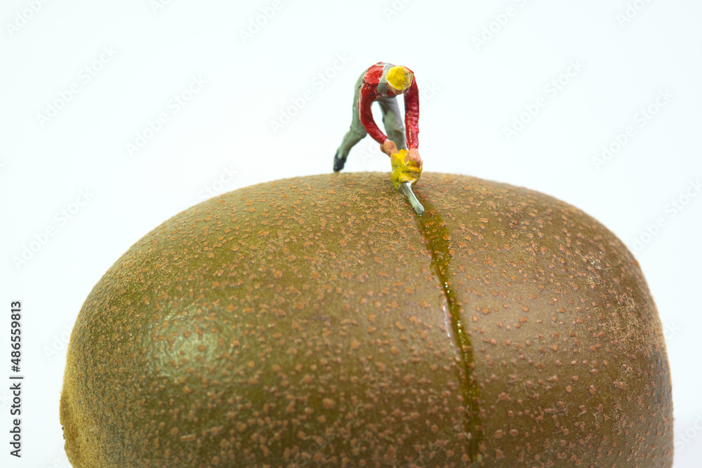 Poster a worker stands on a kiwi and splits it with a chainsaw, closeup , isolated on white background