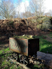 Rusty Rail Wagon