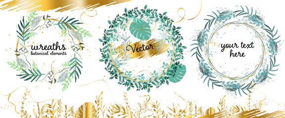 Set of circular floral frames with different grasses, ferns and leaves. Flower wreaths. Element design. Vector illustration. Flora. Colorful. Many decorative elements.