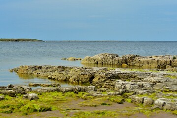 Fototapeta na wymiar Rocky coast of Estonia