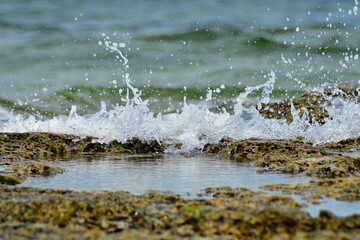 water flowing into the coast off Estonia