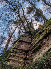 Feuchte und mit Farn bewachsene Felswand im Wald