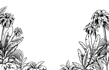 Tropical grass and plant thickets. Frame with palms on the sides. Hand drawing outline. Sketch of exotic plants. Summer landscape. Isolated on white background. Vector