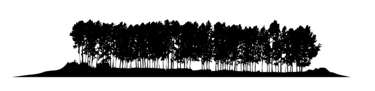 sagoma alberi pioppi bosco boschetto foresta architettura simulazione render natura disegno 