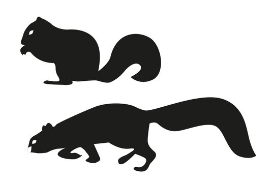 set sagoma scoiattolo roditore opossum animaletto simpatico