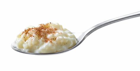 spoon of rice milk pudding