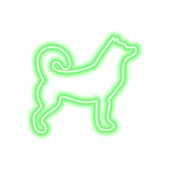 Green neon icon husky isolated on white