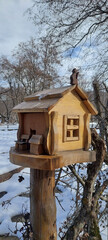 Bird house with snow in winter.