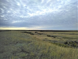 landscape with grass and sky