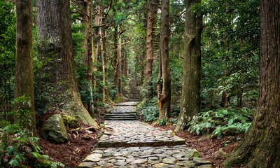 Ancient Daimon-zaka staircase leading up to Mt. Nachisan, Wakayama Prefecture, Japan