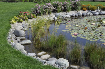 Landscaping of a garden plot. Flowers and plants in landscape design. 