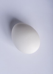 Light and shadow on the egg. Light from the blunt end of the egg.