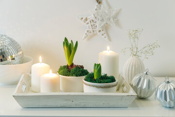 Fototapeta na wymiar Unblown hyacinths with burning candles on a wooden vintage tray. Palm tree shadow on the wall. Home decoration for spring
