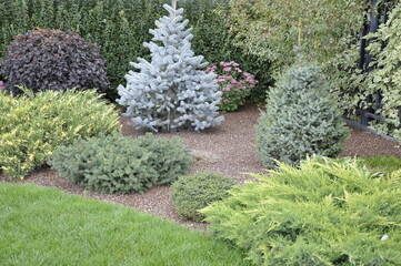 Landscaping of a garden plot. Flowers and plants in landscape design. 