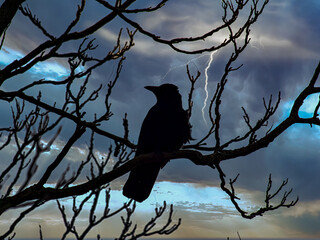 The raven and the lightning