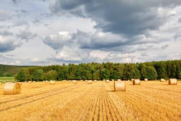 Fototapeta premium Feld mit Strohrollen im Harz