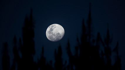 Luna llena © Daniel