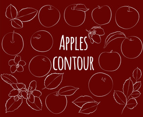 Naklejka premium Set of apples with leaves and flowers, linear, outline only, no fill. Vector graphics
