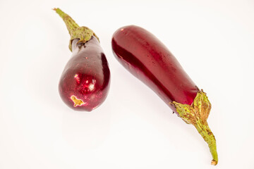 six aubergines, Solanum melongena