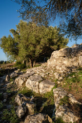 Fototapeta na wymiar Son Fornés, archaeological site of prehistoric era, Montuiri, Mallorca, Spain