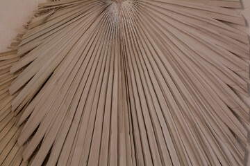 close up of umbrella