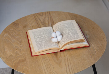 book with a candle